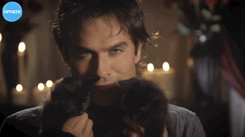 cats_21