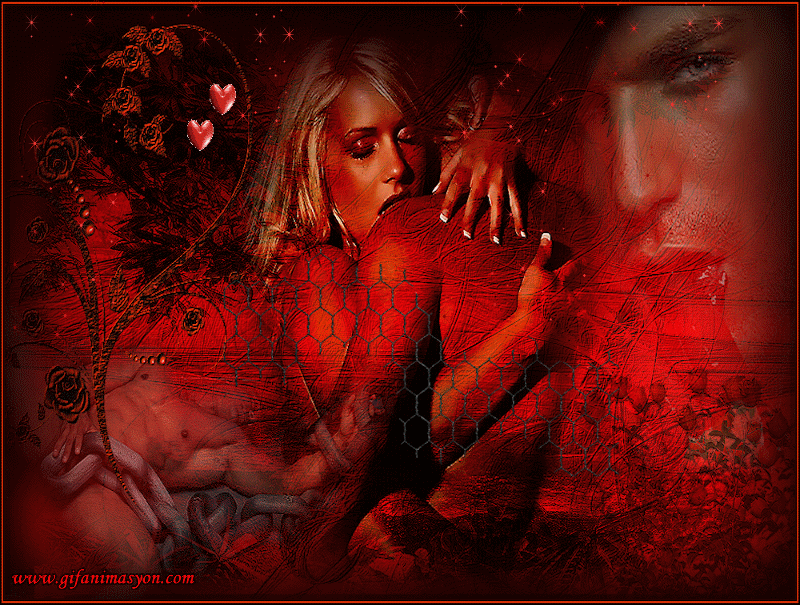 lover 43