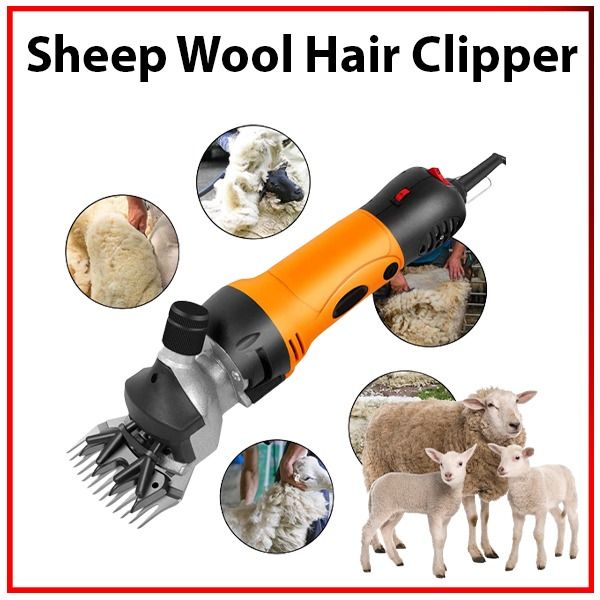 [SC]-Sheep-Shear