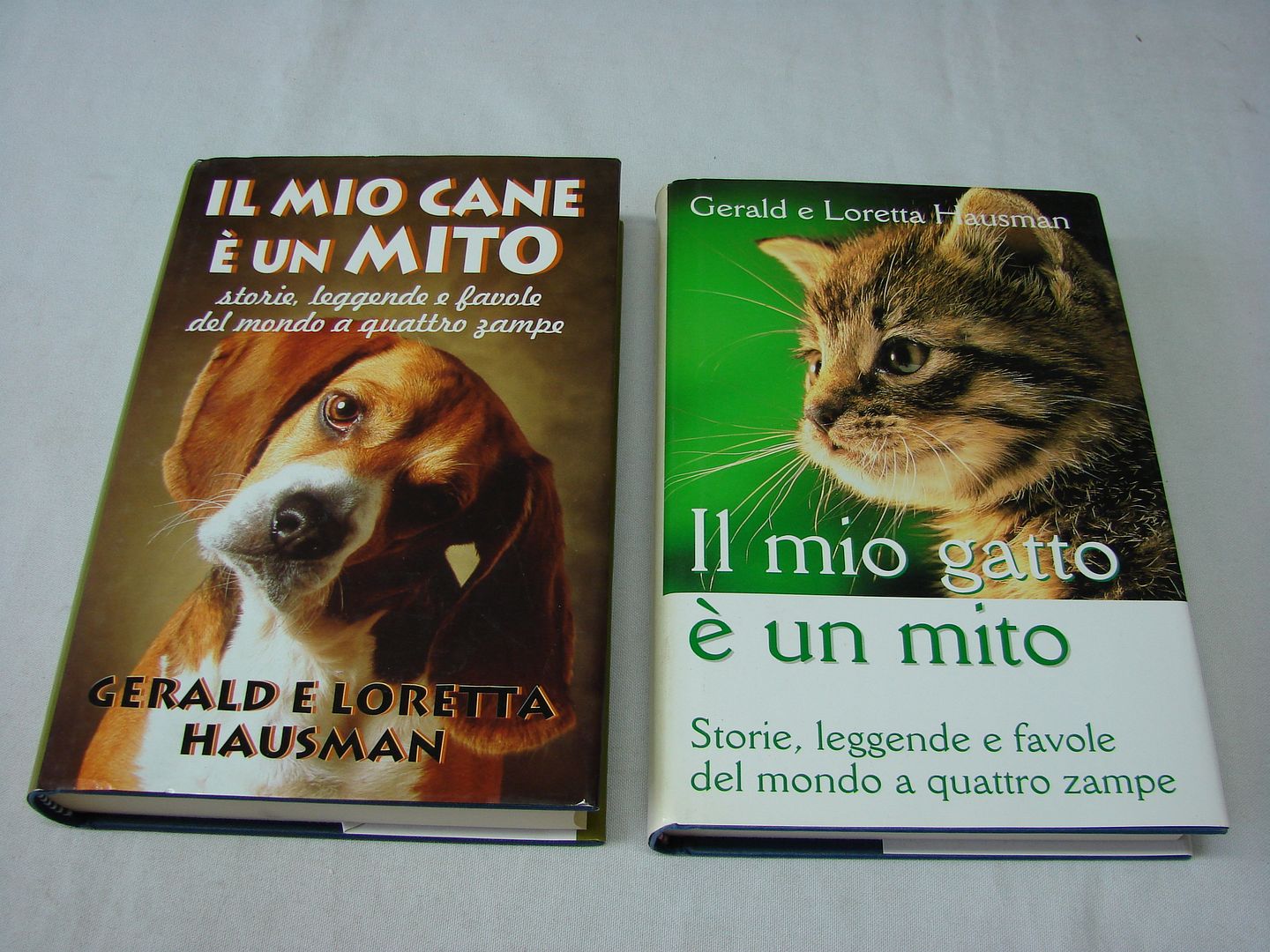 IL MIO CANE  UN MITO