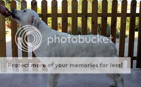 Photobucket - Video and Image Hosting