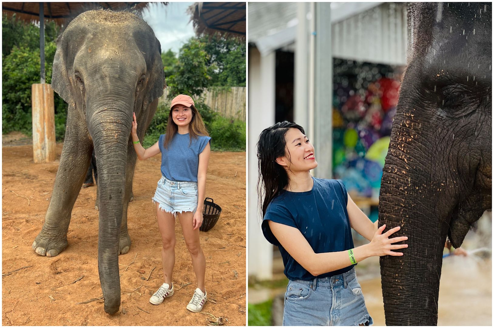 The Slate Phuket ethical elephant sanctuary