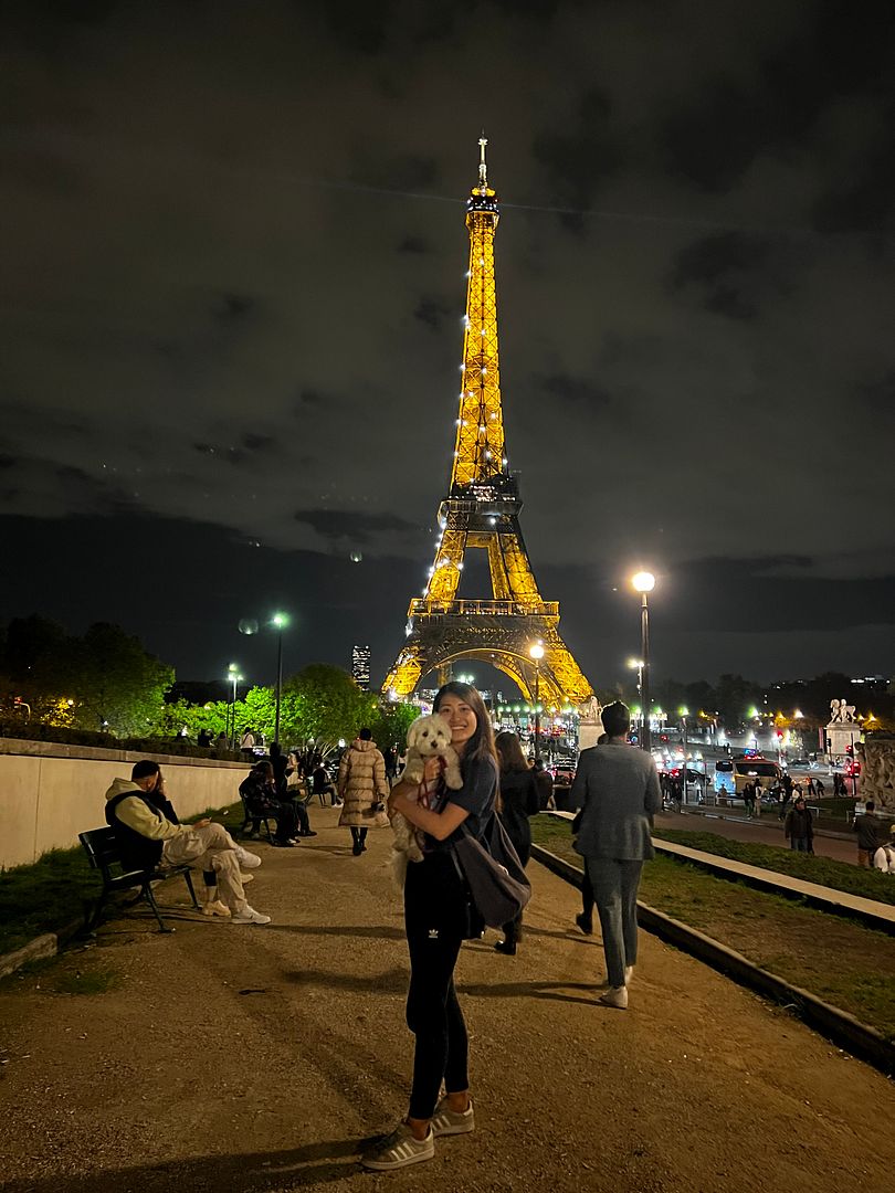 flying from singapore to paris with dog