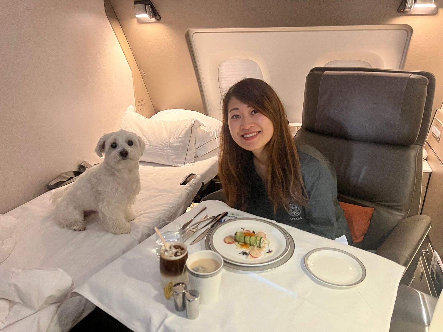 flying singapore airlines suites dog in cabin