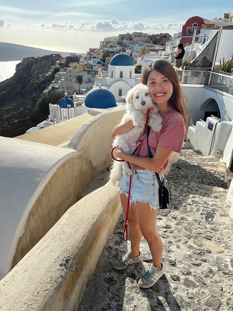 holiday in europe with dog from singapore