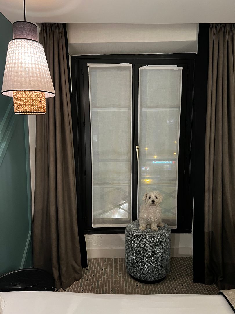 hotel bastille paris dog friendly room