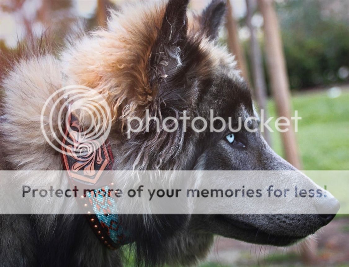 1cda9120-0d56-4923-b505-2ff2ab28e5da-original.jpg?width=1920&height=1080&fit=bounds