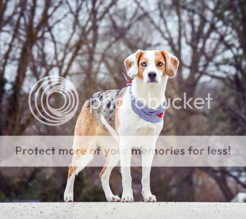 3b64b3e2-dc96-4305-8bdc-7c98cbc6eb21-original.jpg?width=1920&height=1080&fit=bounds