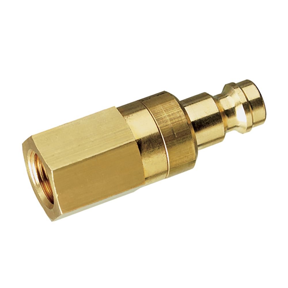 21SBIW10MPX 1/8inch BSPP Fem Plug Ds Brass