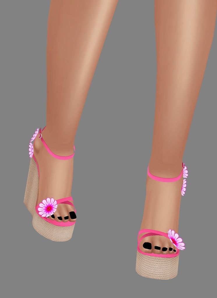 Pink_Daisy_Wedges