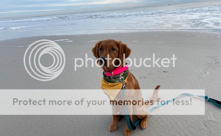 Photobucket - Video and Image Hosting