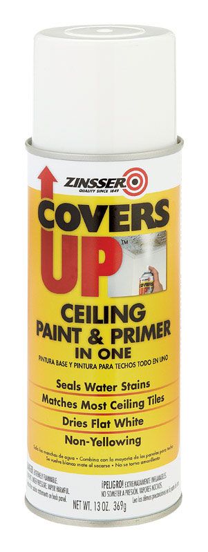 PAINT CEILING COVERSUP