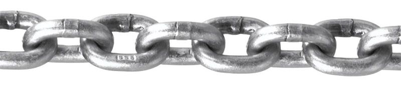 Campbell 5/32 in. Bright Oval Link Stainless Steel Chain 5/32 in. D 
