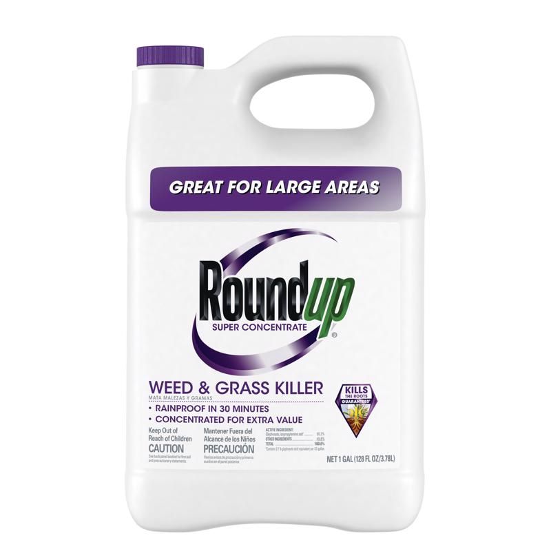 ROUNDUP CONCT 50.2% 1GAL