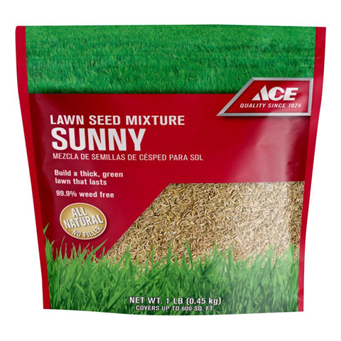 ACE SUNNY GRASS SEED 1#