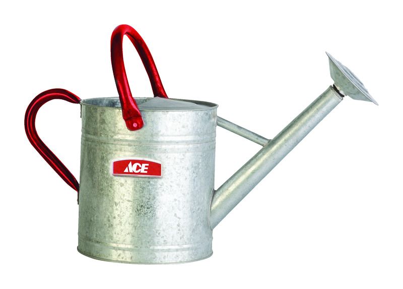 ACE WATERING CAN 2 GAL