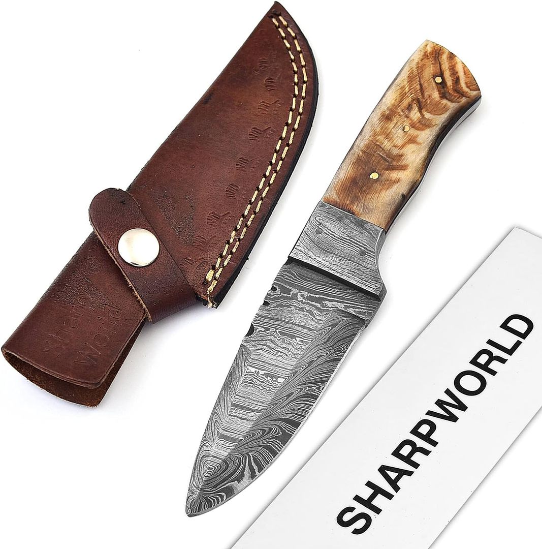 8 Inches Beautiful Damascus Knife Made Of Remarkable Damascus Steel Ram Handle -Ideal Hunting Knife With Sheath TJ108
