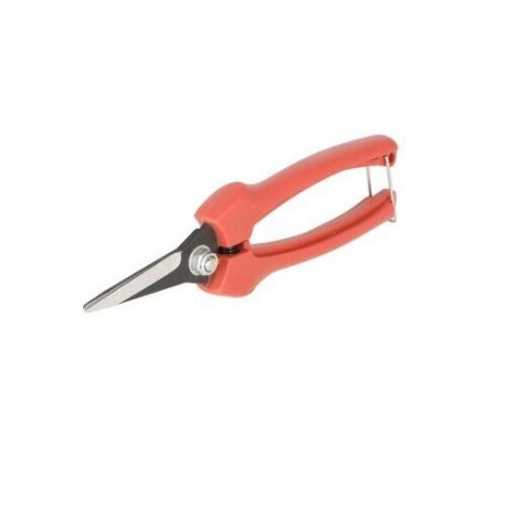 Red RoosterÂ® Grape and Fruit Snip - Straight Blade