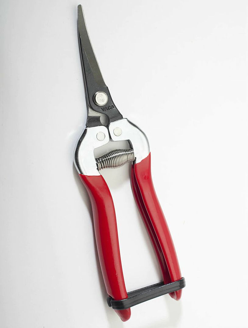 GRAPE CLIPPERS - 7" STAINLESS STEEL