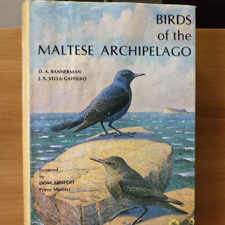 Birds of the Maltese Archipelago