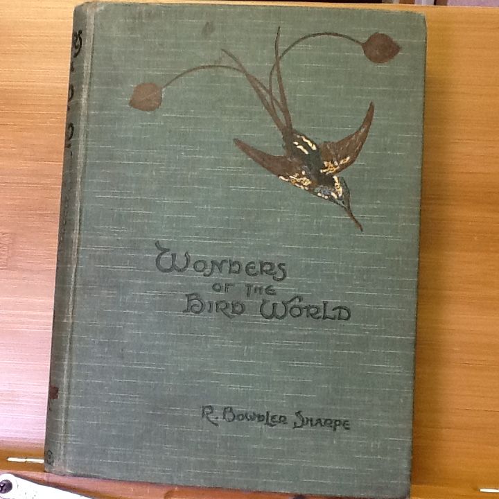 Wonders of the Bird World