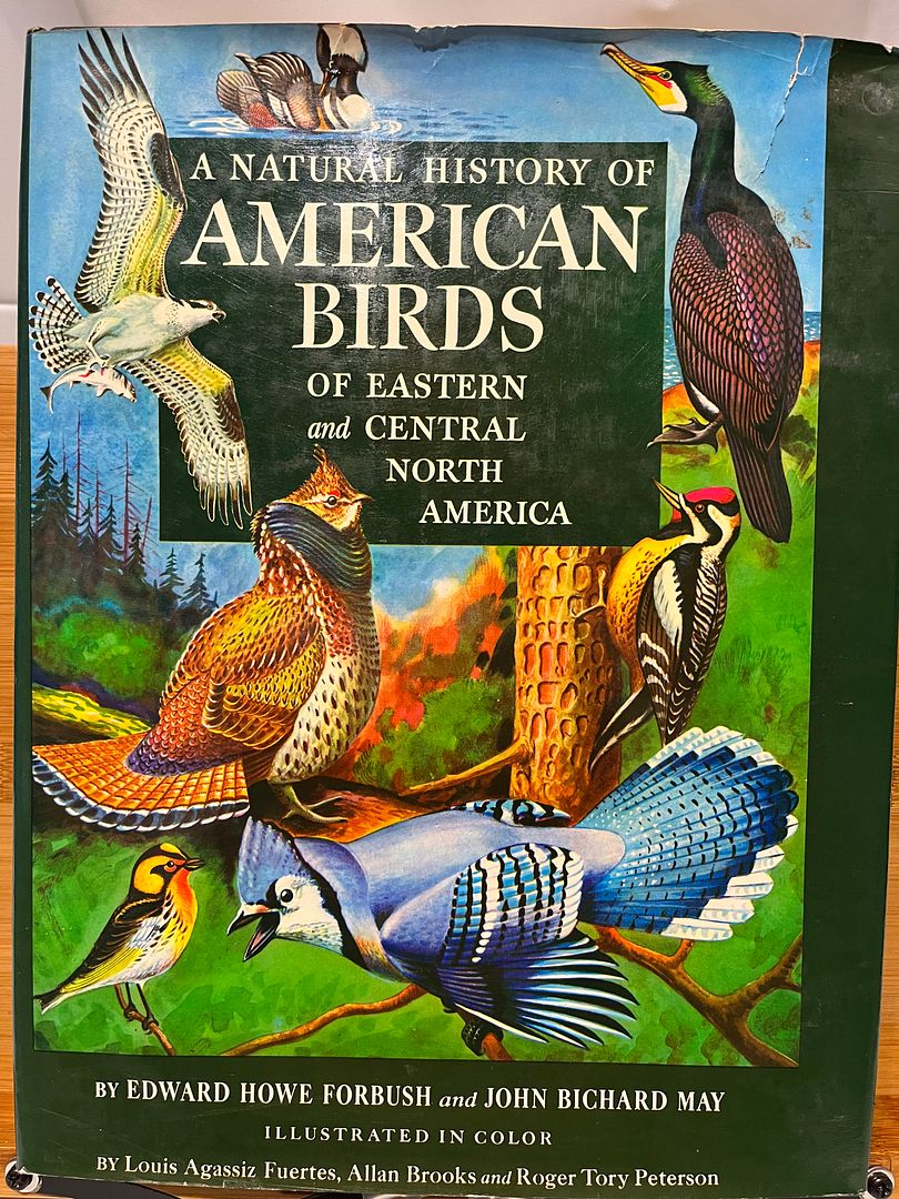 A natural history of American birds of eastern and central North America