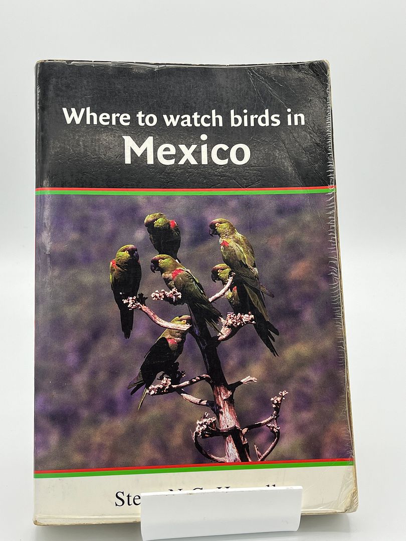 Where to Watch Birds in Mexico