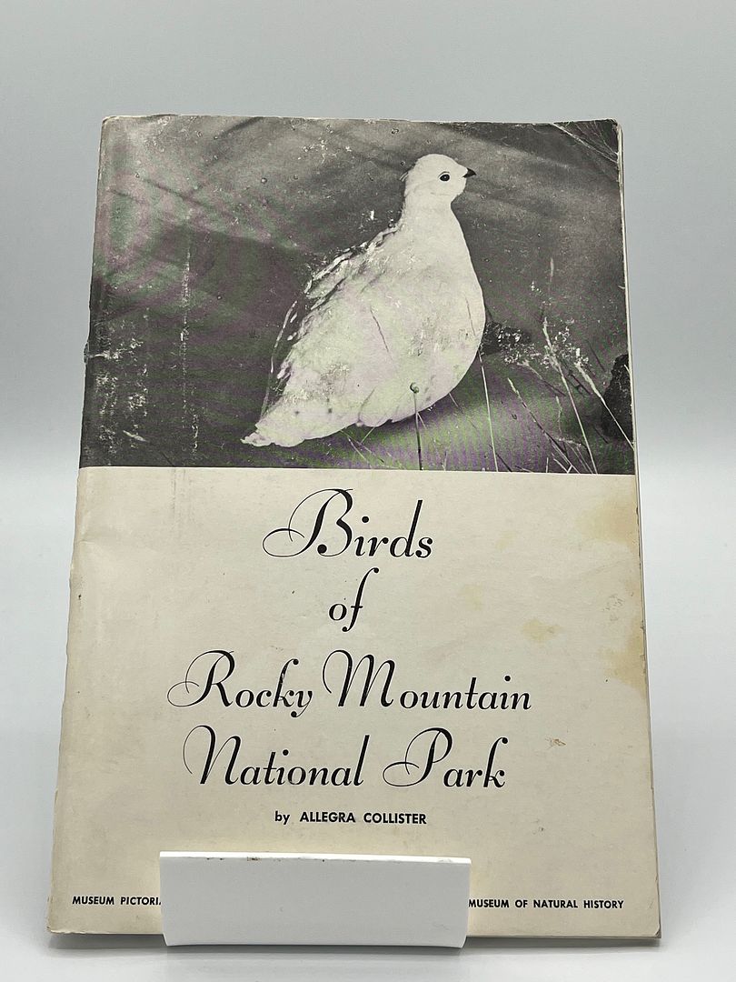 Birds of Rocky Mountain National Park