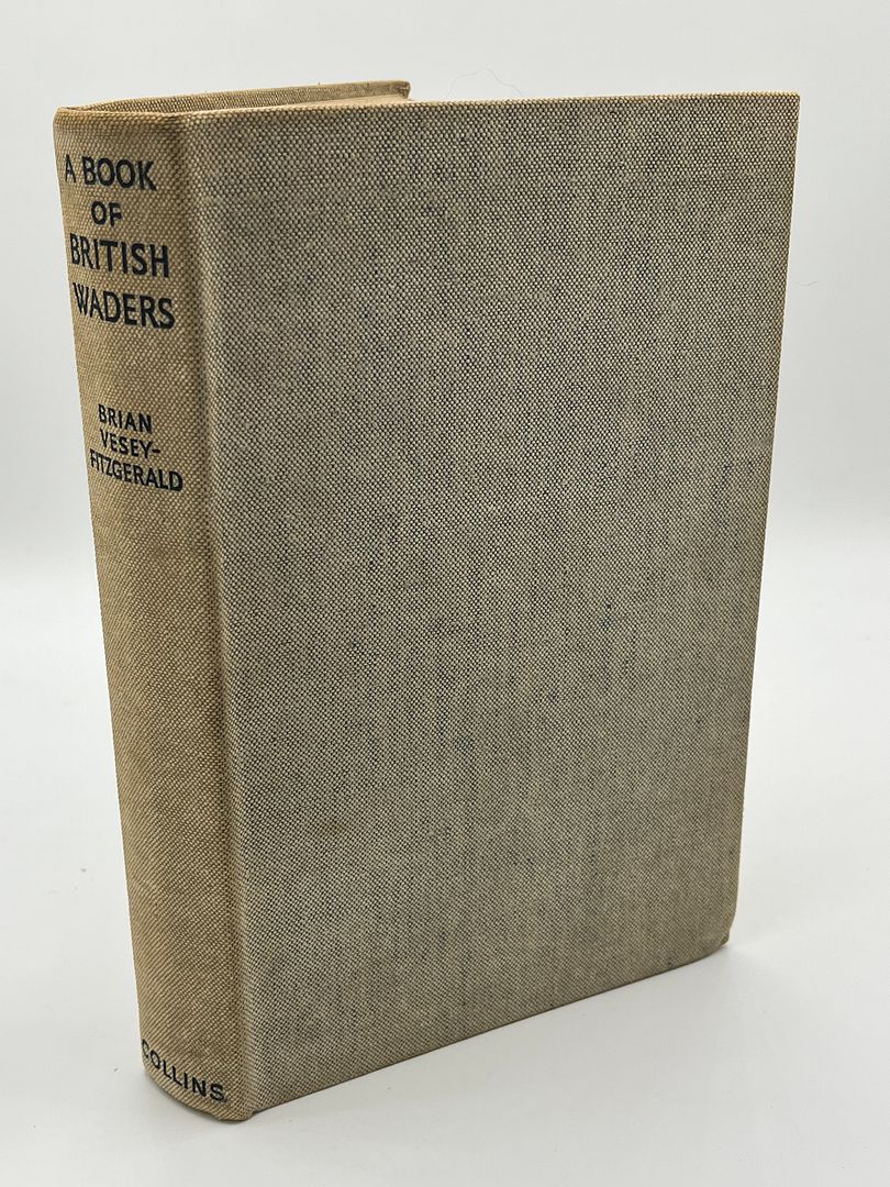 A Book of British Waders
