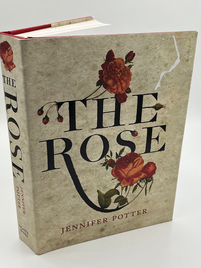 The Rose