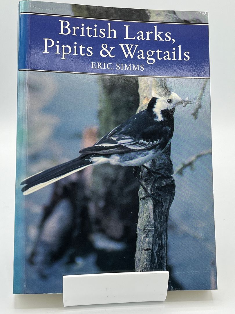 Larks, Pipits and Wagtails (Collins New Naturalist)