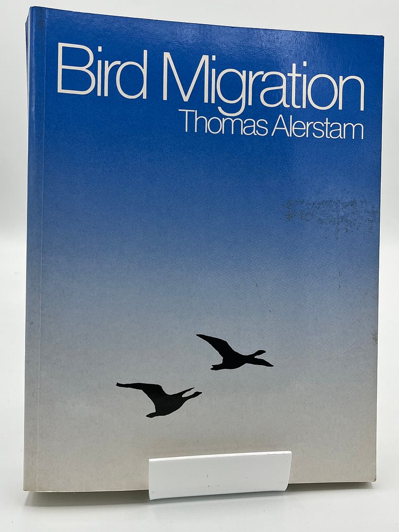 Bird Migration