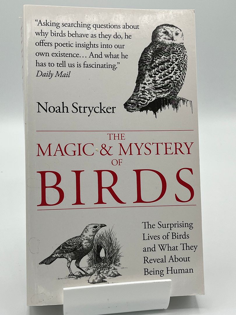 The Magic and Mystery of Birds: The Surprising Lives of Birds and What They Reveal About Being Human