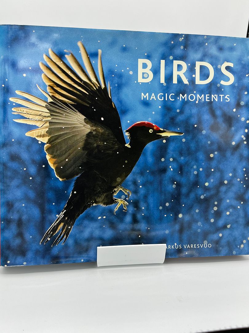 Birds: Magic Moments