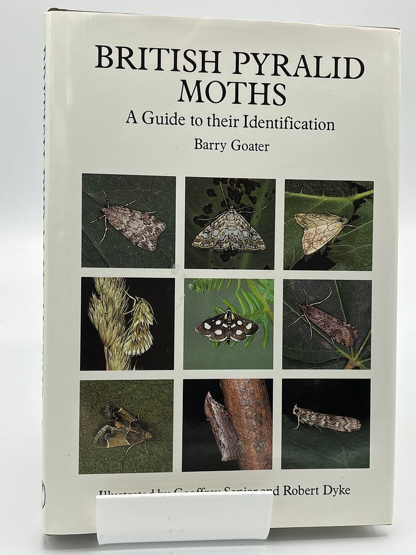 British Pyralid Moths