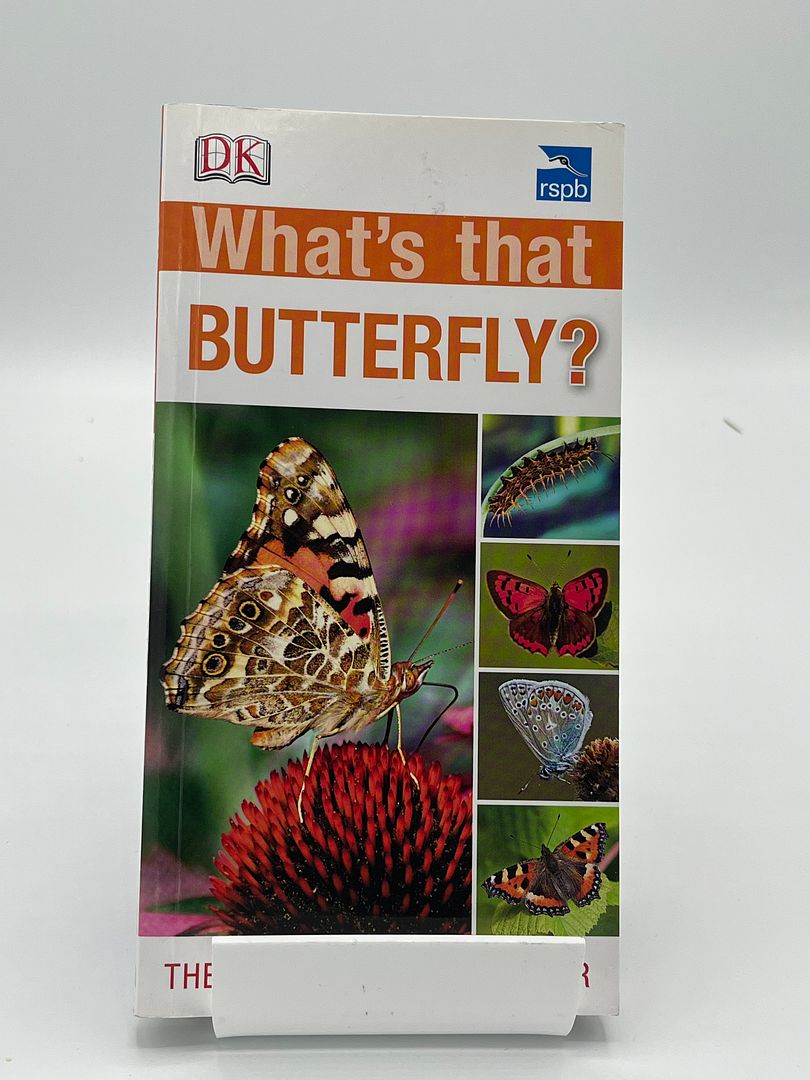 What's that Butterfly