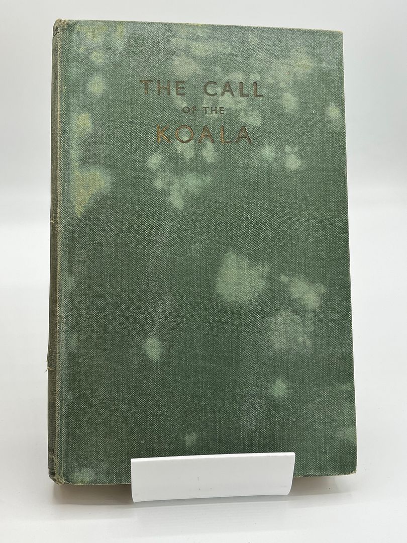The Call of the Koala