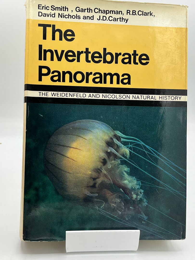 The Invertebrate Panorama