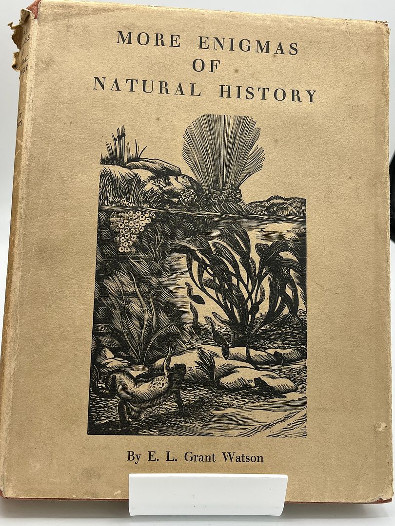 More Enigmas Of Natural History