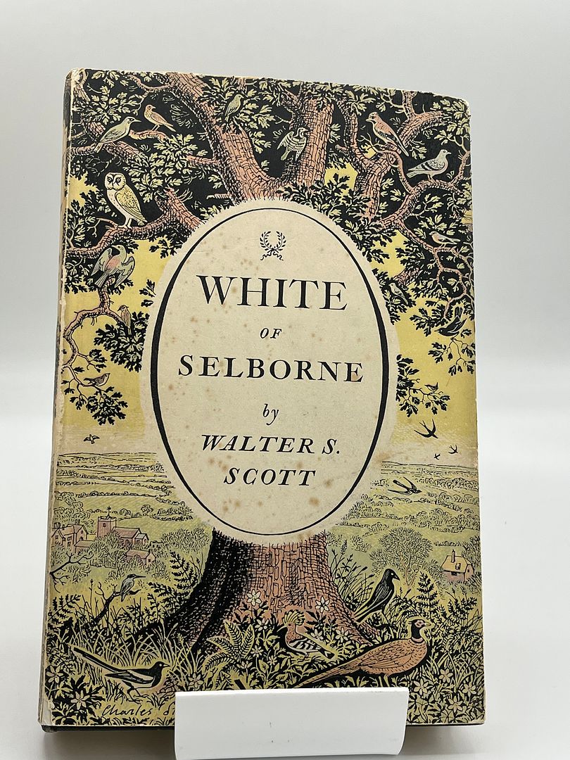 White Of Selborne