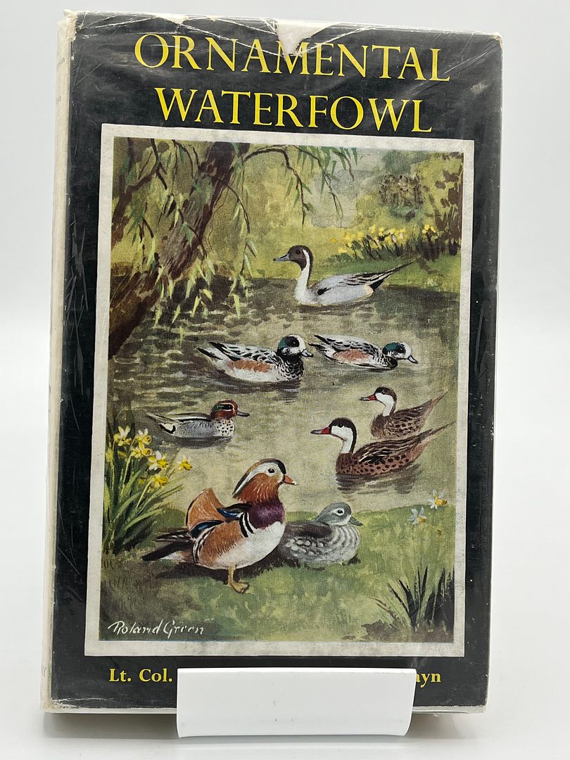 Ornamental Waterfowl