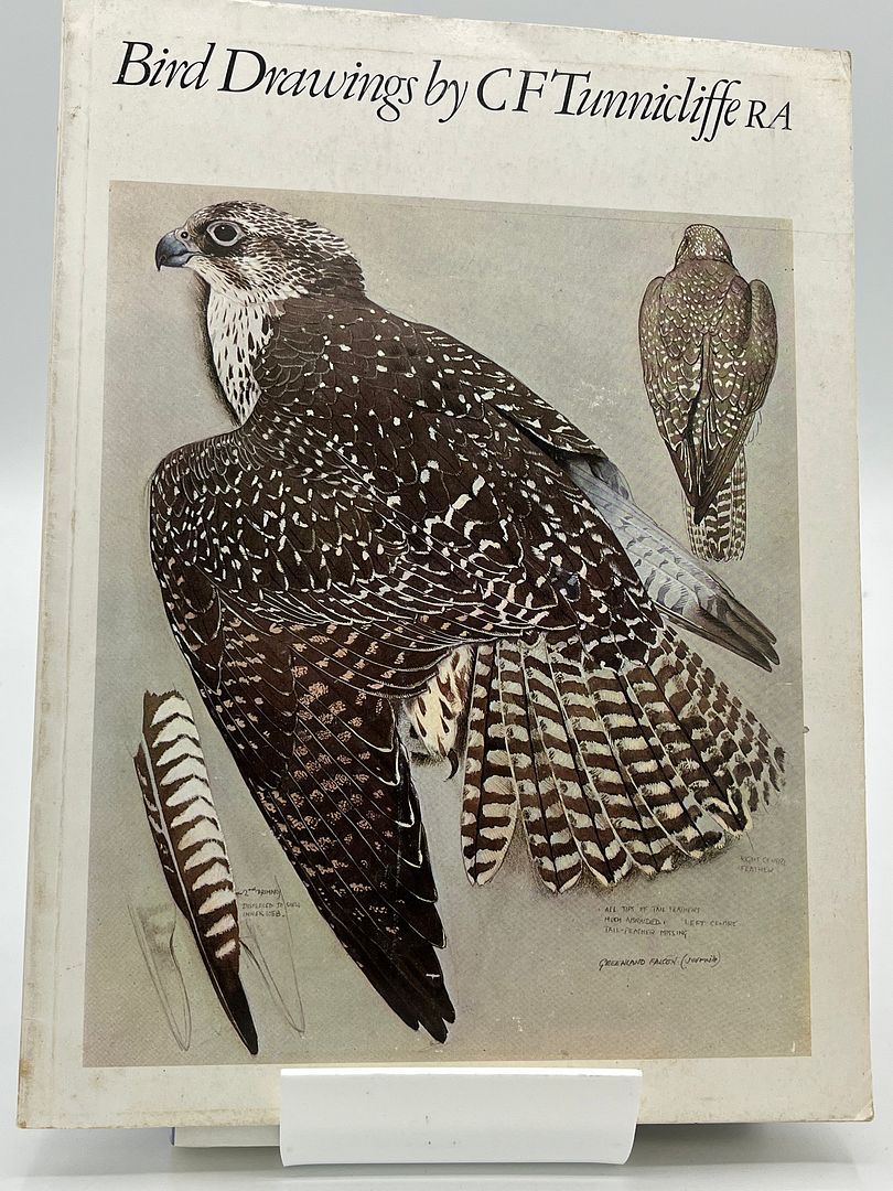 Bird Drawings ( 3 August - 29 September 1974)