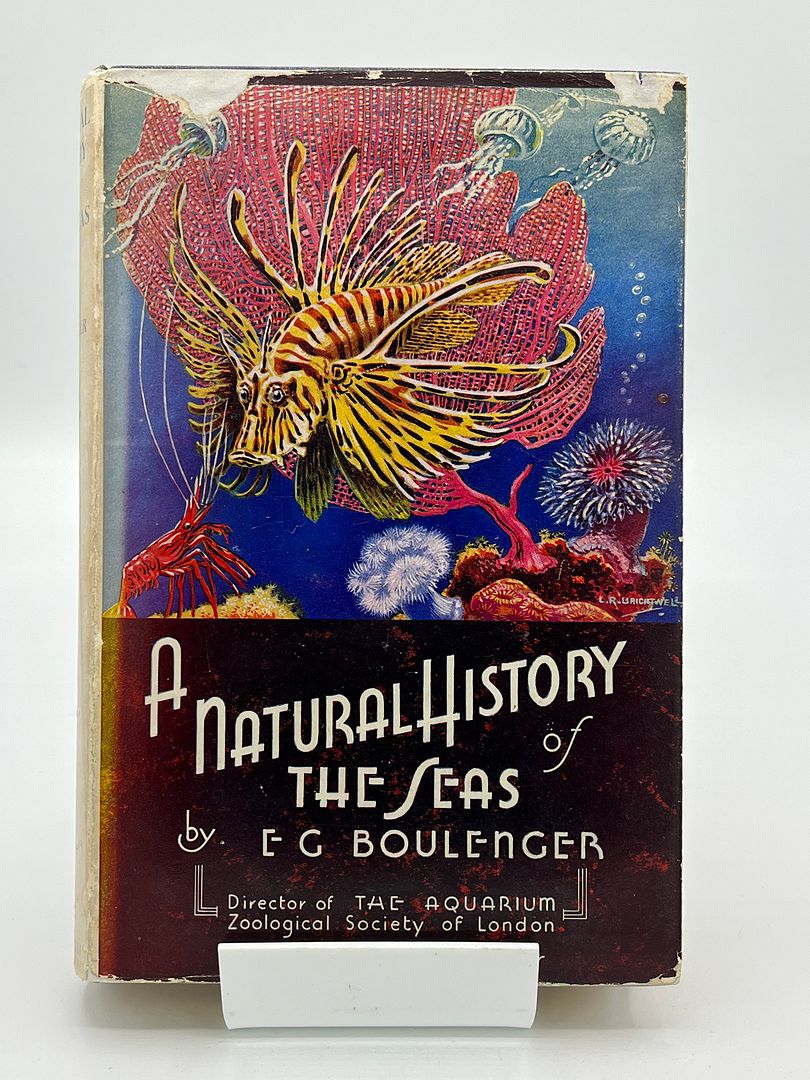 A Natural History Of The Seas