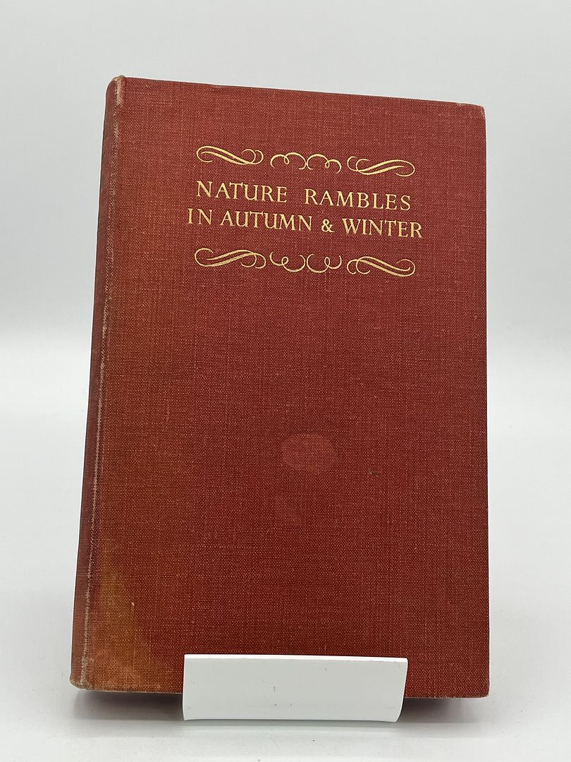Nature Rambles in Autumn & Winter