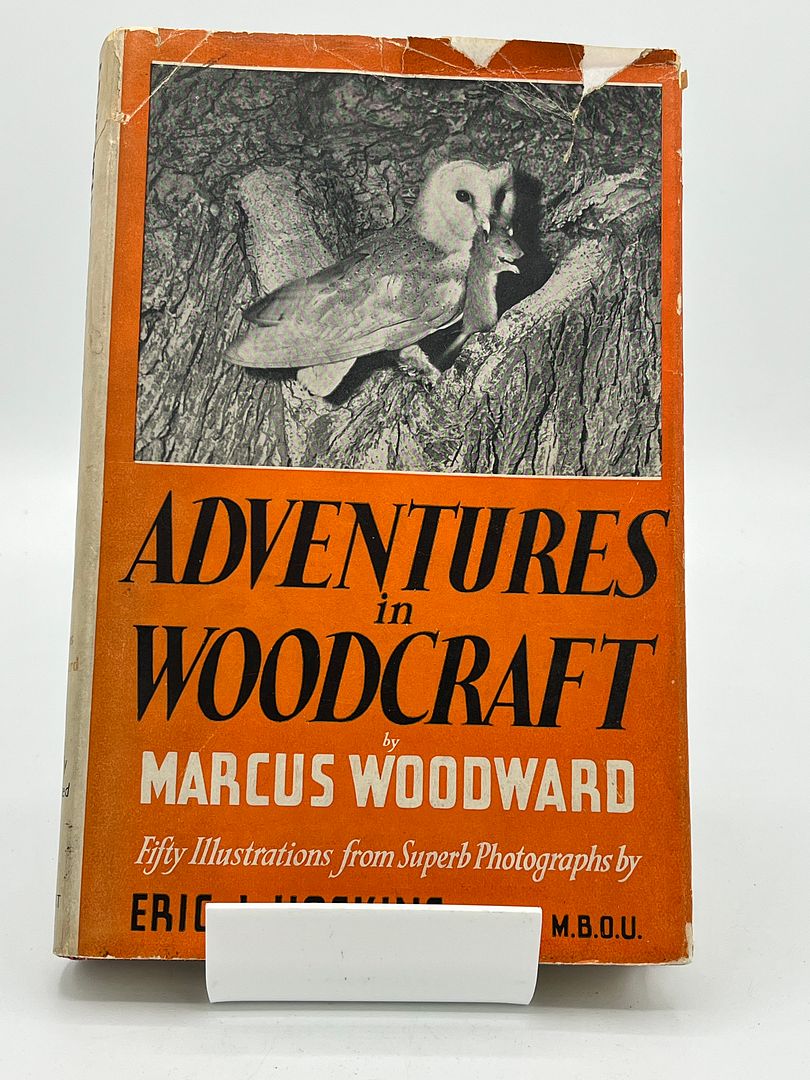 Adventures in Woodcraft