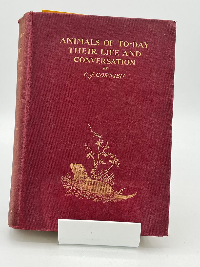 Animals of To-Day Their Life And Conversation