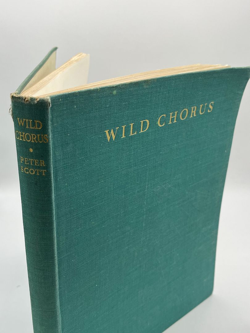 Wild Chorus
