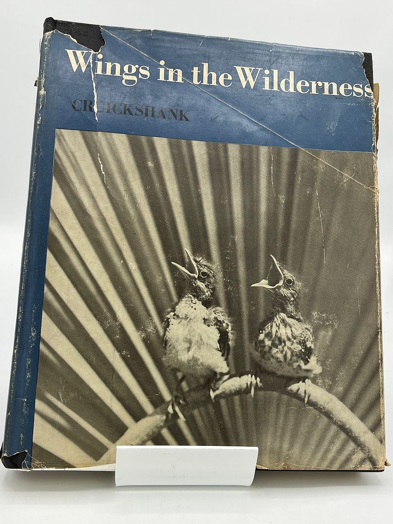 Wings In the Wilderness
