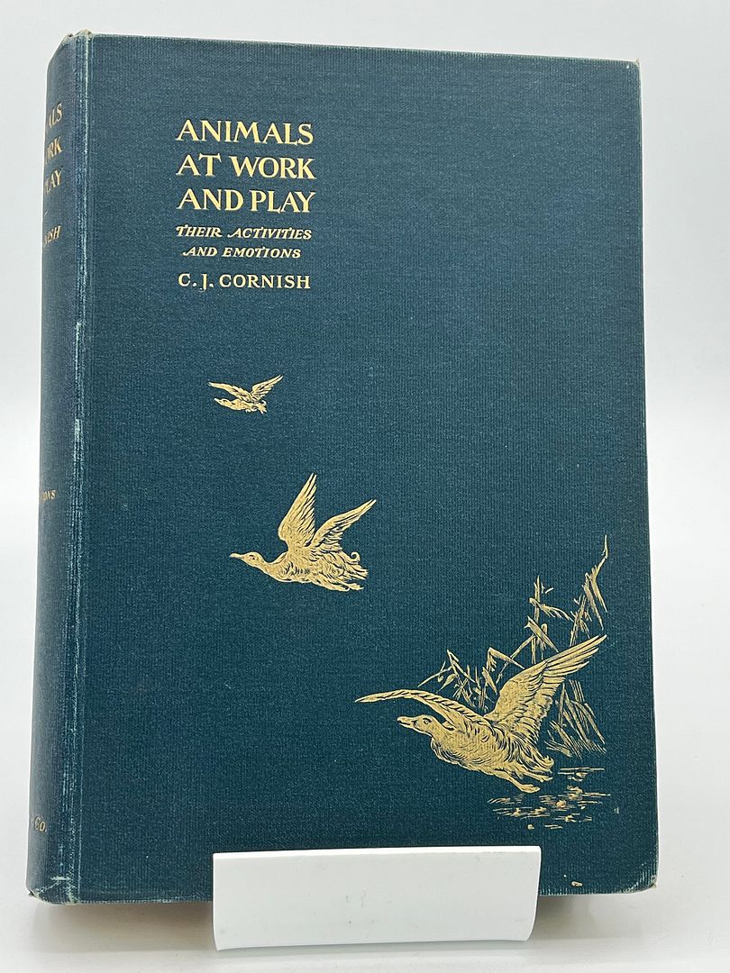 Animals At Work And Play (Their activities and Emotions)