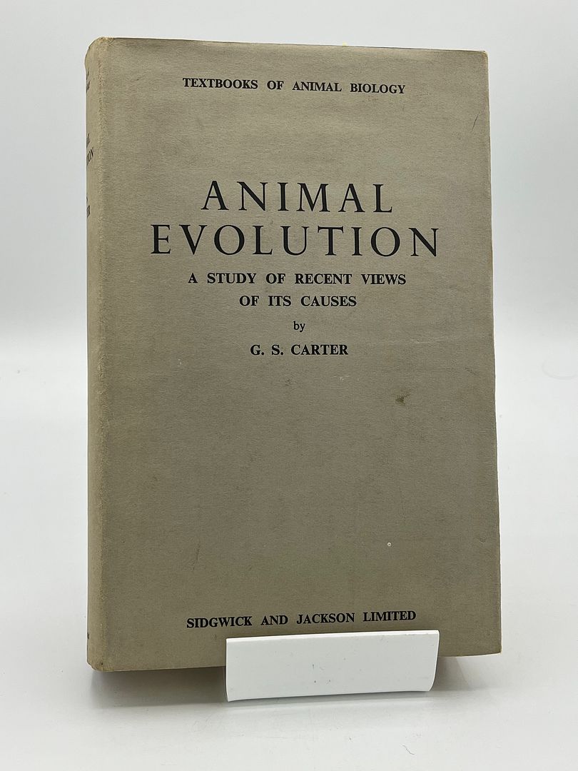 Animal Evolution
